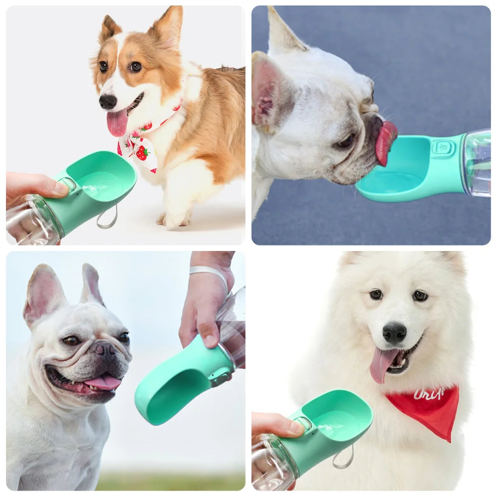 AquaPup Travel Buddy Bottle