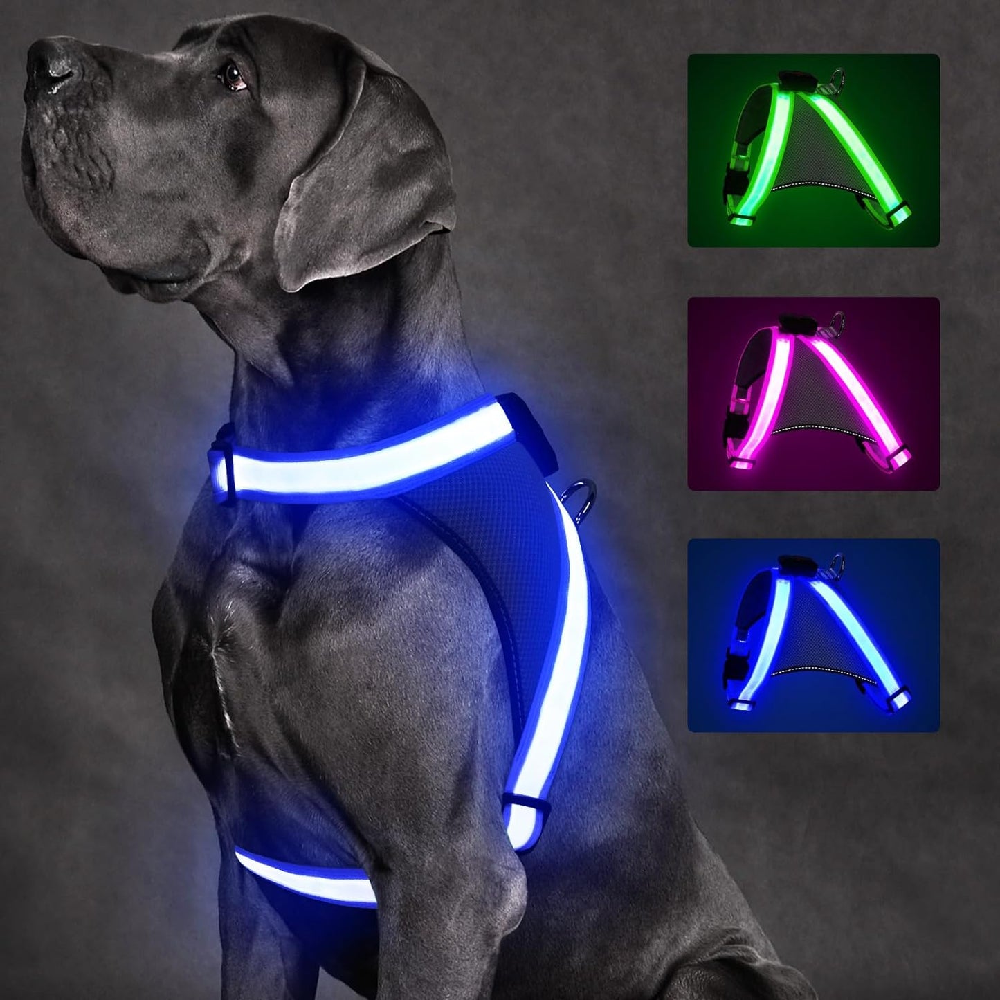 Light up Dog Harness, No Pull Led Dog Harness Glow-In-The-Dark for Night Walking, USB Rechargeable Lighted Safety Vest for Medium Large Dogs, Adjustable Soft Mesh Fully Illuminated(Green, L)