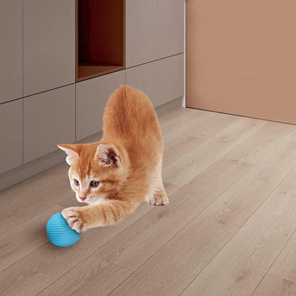 Interactive Cat Toy Ball: Magic Rolling Ball with Sound, Stimulates Indoor Hunting Instincts