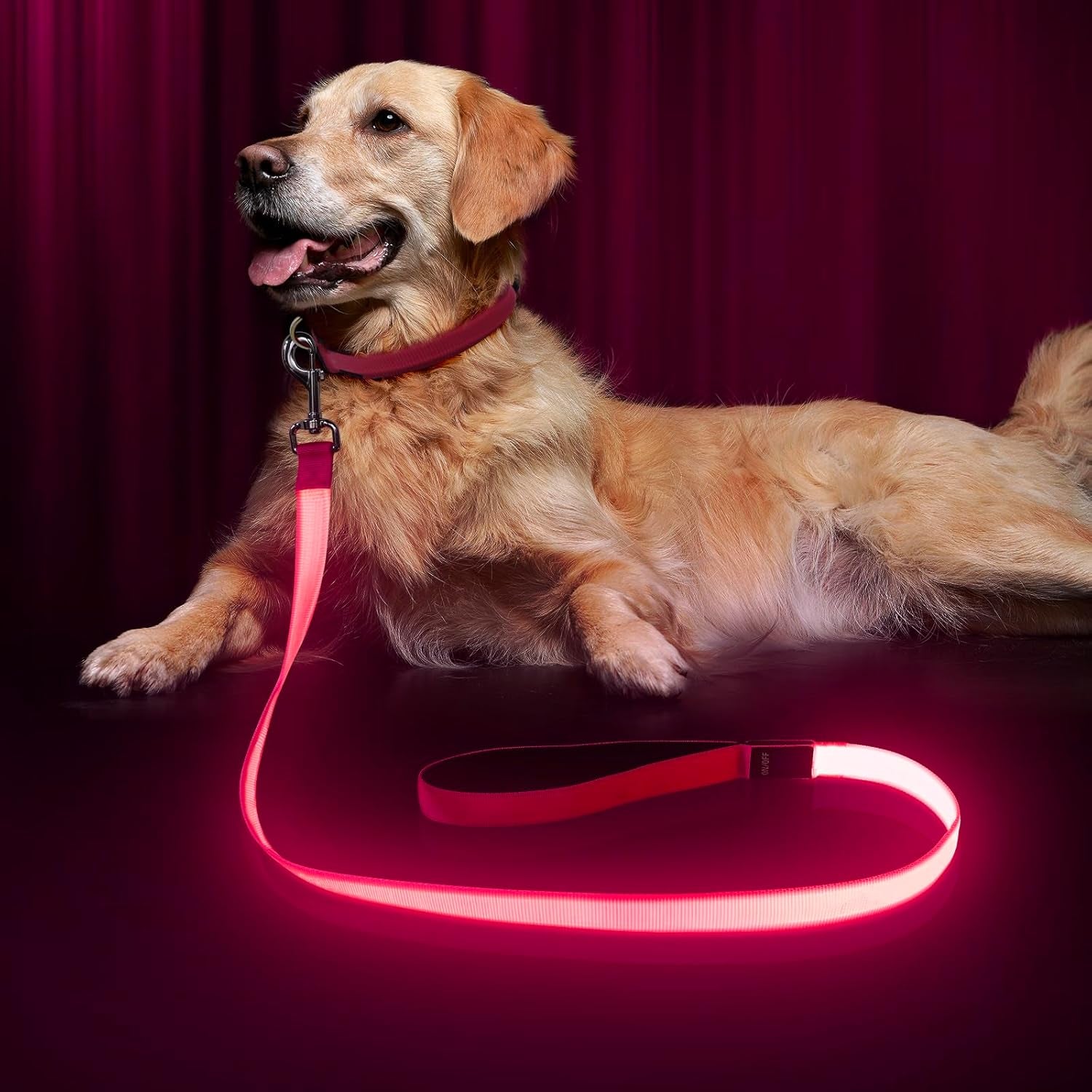 LED Dog Leash Light up Dog Leash 4 Feet Micro USB Rechargeable Nylon Webbing Glow Safety Standard Dog Leash for Dogs 