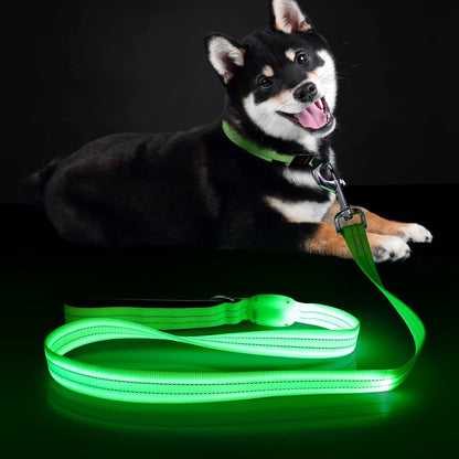 Led Dog Leash, 4 Ft Light up Soft Rechargeable Dog Leash, Waterproof, Nylon Reflective Leashes with Padded Handle for Night Walking, Safety Glow in the Dark Dog Leash for Large Medium Pets