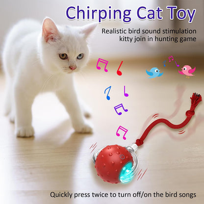 Interactive Cat Toy Ball: Fast Rolling on Carpet, Chirping Sound, Motion Activation