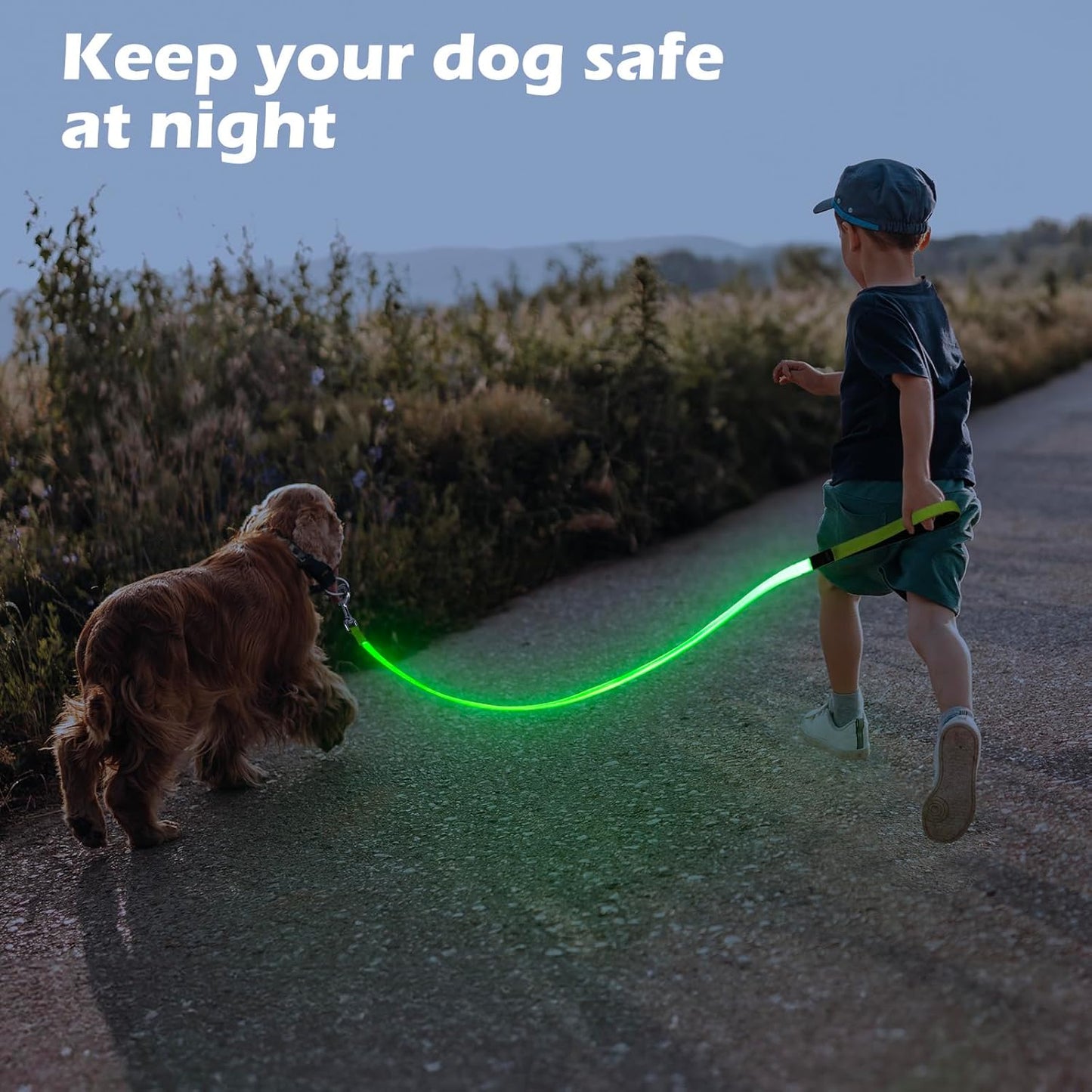 LED Dog Leash Light up Dog Leash 4 Feet Micro USB Rechargeable Nylon Webbing Glow Safety Standard Dog Leash for Dogs 