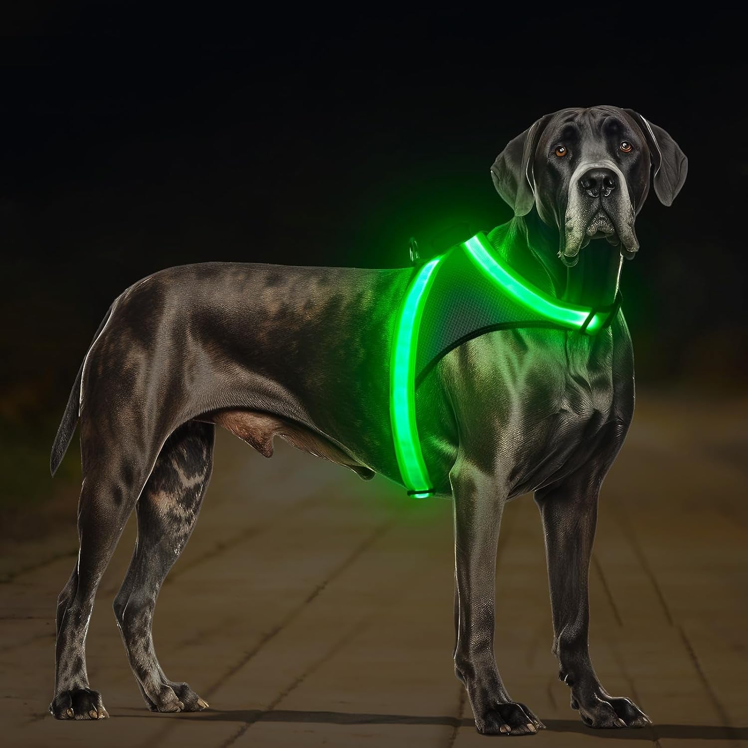 Light up Dog Harness, No Pull Led Dog Harness Glow-In-The-Dark for Night Walking, USB Rechargeable Lighted Safety Vest for Medium Large Dogs, Adjustable Soft Mesh Fully Illuminated(Green, L)