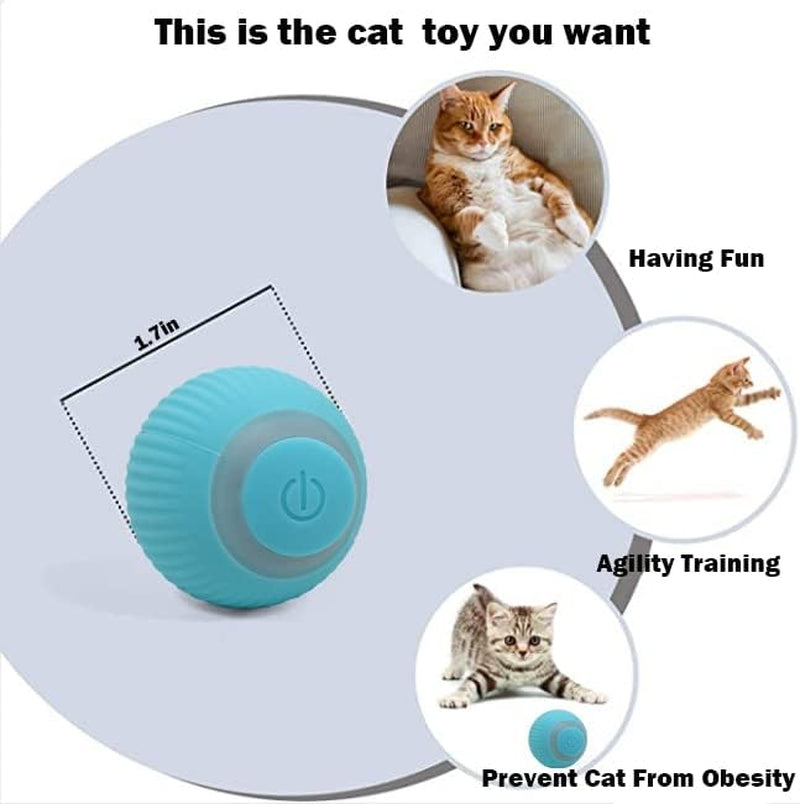 Interactive Cat Toy Ball: Magic Rolling Ball with Sound, Stimulates Indoor Hunting Instincts