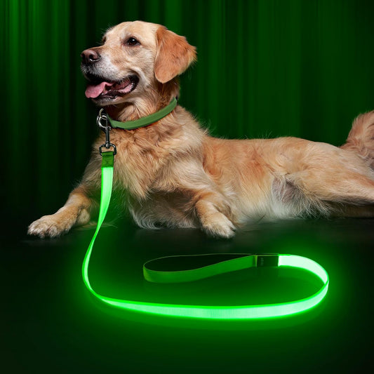 LED Dog Leash Light up Dog Leash 4 Feet Micro USB Rechargeable Nylon Webbing Glow Safety Standard Dog Leash for Dogs 