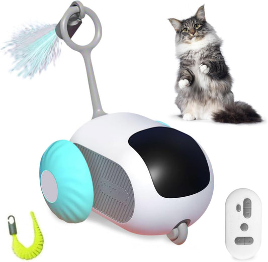 Remote Control Smart Electric Cat Toy: Interactive Gravity Car Toy for Indoor Cats, USB Rechargeable