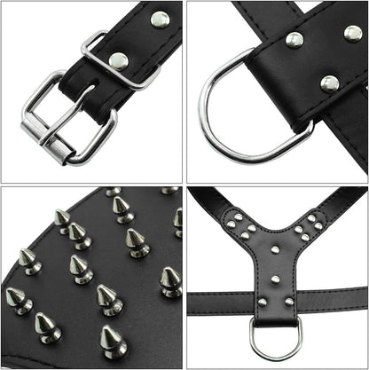 PU Leather Spiked Studded Dog Collars, Harnesses 2Pcs Matching Set for Medium & Large Dogs Pit Bull,Mastiff, Boxer, Bull Terrier (Spikes Black, M)