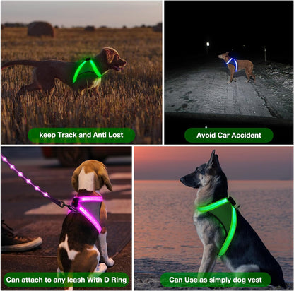 Light up Dog Harness, No Pull Led Dog Harness Glow-In-The-Dark for Night Walking, USB Rechargeable Lighted Safety Vest for Medium Large Dogs, Adjustable Soft Mesh Fully Illuminated(Green, L)