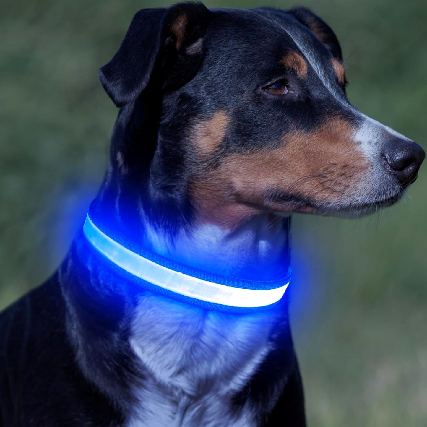 LED Dog Collar, Light up Dog Collar Adjustable USB Rechargeable Super Bright Safety Light Glowing Collars for Dogs(X-Large,Red)