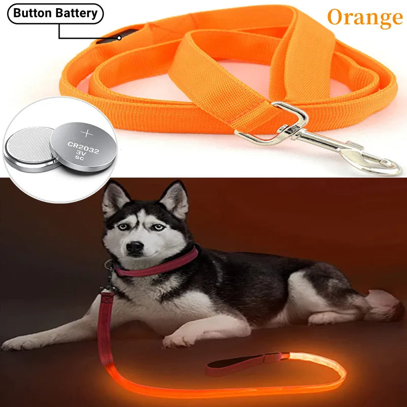 Glowing Led Dog Leash Usb Rechargeable Pet Dog Flashing Nylon Webbing Leashes- 3 Lighting Modes Keep Your Pets Safe in Darkness