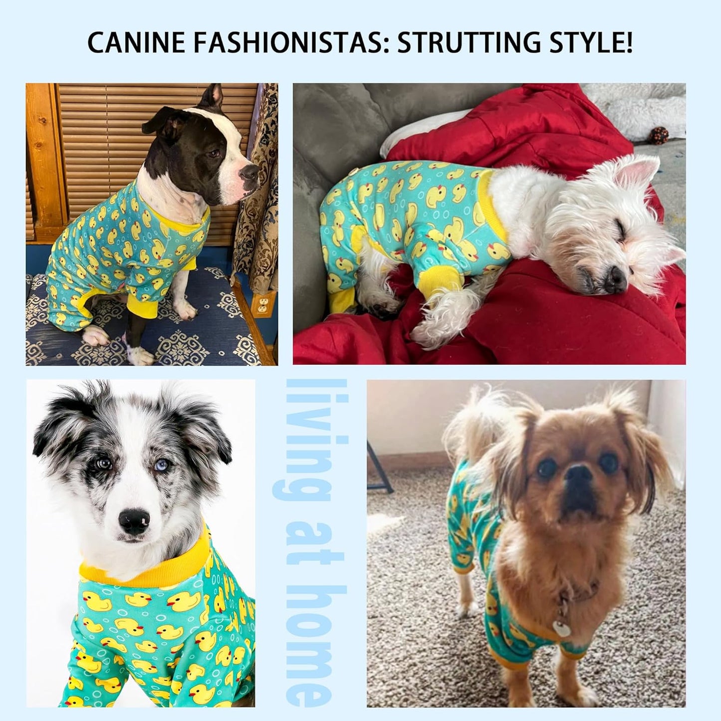 Dog Pajamas: Comfy, Stretchy, Moisture-Wicking Polyester Onesies for Dogs of All Sizes 