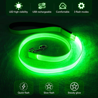 LED Dog Leash Light up Dog Leash 4 Feet Micro USB Rechargeable Nylon Webbing Glow Safety Standard Dog Leash for Dogs 