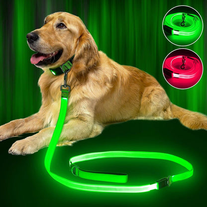 LED Dog Leash Light up Dog Leash 4 Feet Micro USB Rechargeable Nylon Webbing Glow Safety Standard Dog Leash for Dogs 