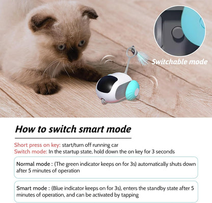 Remote Control Smart Electric Cat Toy: Interactive Gravity Car Toy for Indoor Cats, USB Rechargeable