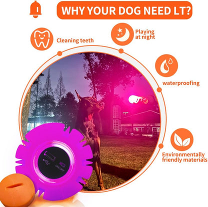 USB Rechargeable LED Dog Toy Ball - Light-Up Pet Ball for Day and Night Play, Suitable for Small, Medium, and Large Dogs