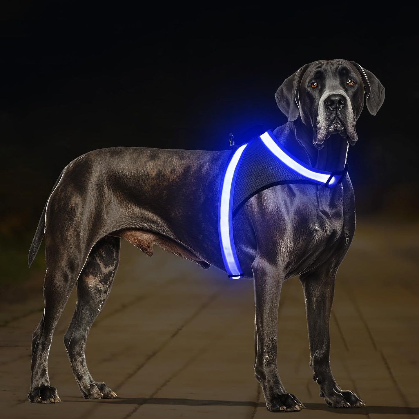 Light up Dog Harness, No Pull Led Dog Harness Glow-In-The-Dark for Night Walking, USB Rechargeable Lighted Safety Vest for Medium Large Dogs, Adjustable Soft Mesh Fully Illuminated(Green, L)