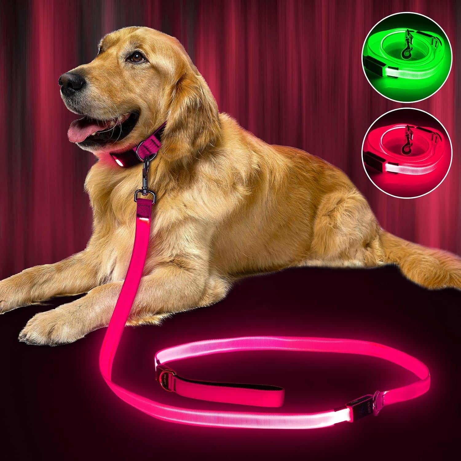 LED Dog Leash Light up Dog Leash 4 Feet Micro USB Rechargeable Nylon Webbing Glow Safety Standard Dog Leash for Dogs 