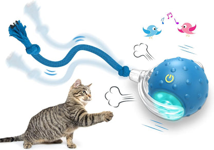 Interactive Cat Toy Ball: Fast Rolling on Carpet, Chirping Sound, Motion Activation