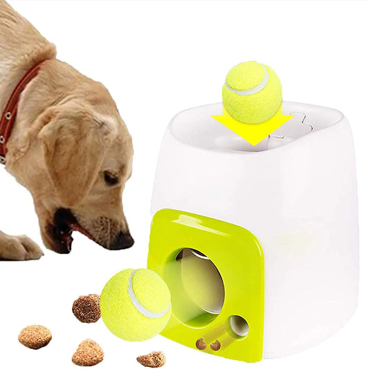 Fetch-o-Matic: The Ultimate Playtime Companion