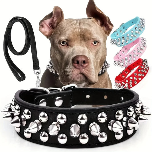 Pooch Protector Spiked Collar Set